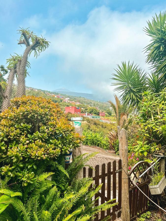 Canarian Cottage With Terrace Surrounded By Garden - Alisios La Orotava Εξωτερικό φωτογραφία