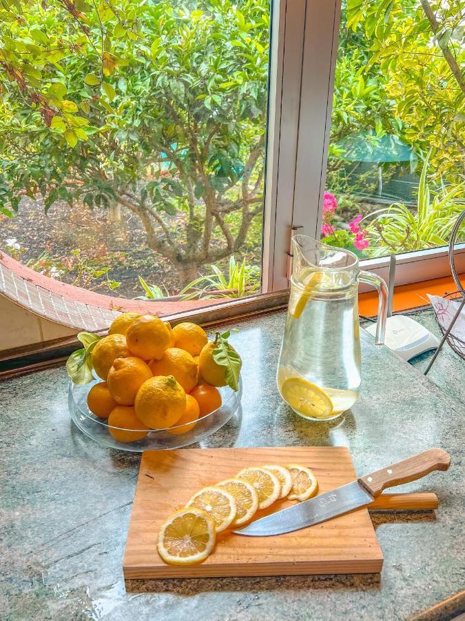 Canarian Cottage With Terrace Surrounded By Garden - Alisios La Orotava Εξωτερικό φωτογραφία